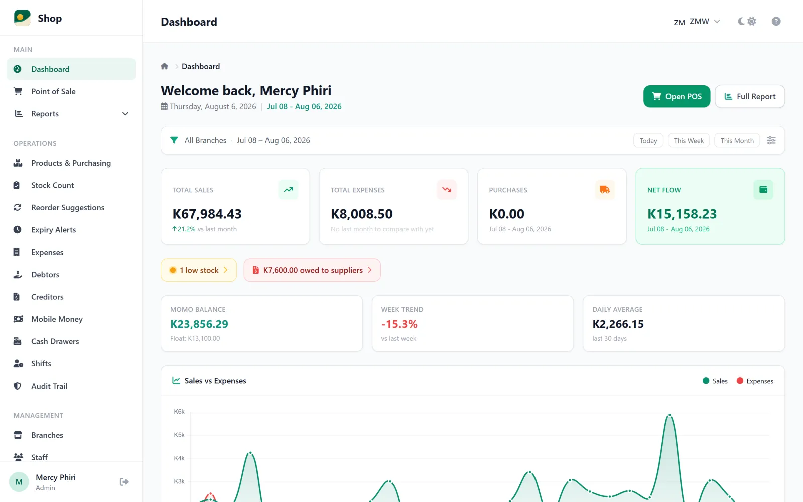 Horizon Staging owner dashboard showing monthly sales, expenses, net flow and the sales-vs-expenses chart